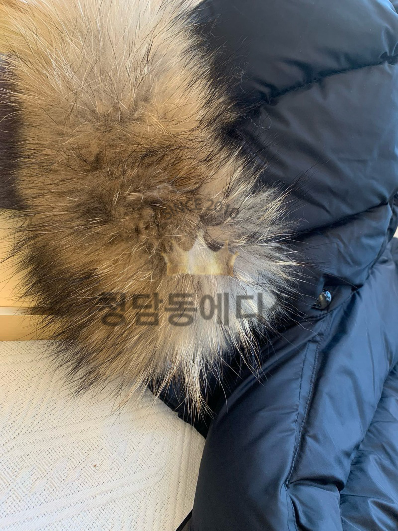 bd566c9fca66955fe0653192e16d14dd_1762162491_7254.jpg bd566c9fca66955fe0653192e16d14dd_1762162491_7254.jpg