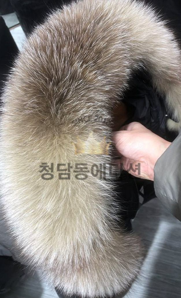 bd566c9fca66955fe0653192e16d14dd_1762162928_7527.jpg bd566c9fca66955fe0653192e16d14dd_1762162928_7527.jpg