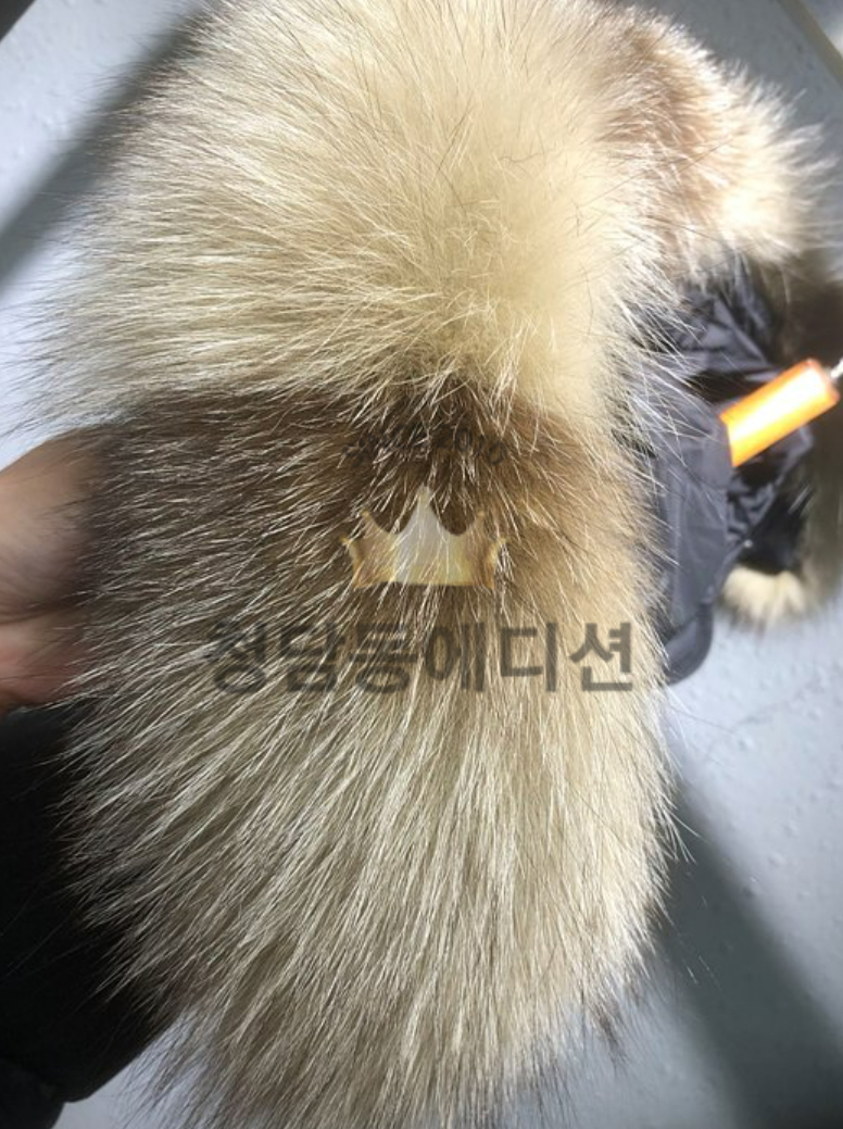 bd566c9fca66955fe0653192e16d14dd_1762162930_3747.jpg bd566c9fca66955fe0653192e16d14dd_1762162930_3747.jpg