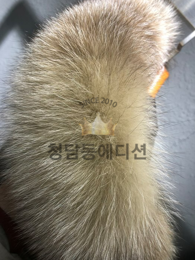 bd566c9fca66955fe0653192e16d14dd_1762162932_0717.jpg bd566c9fca66955fe0653192e16d14dd_1762162932_0717.jpg