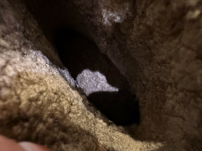 b6804ac974dc927e3050b93701879997_1765446137_3621.jpg b6804ac974dc927e3050b93701879997_1765446137_3621.jpg