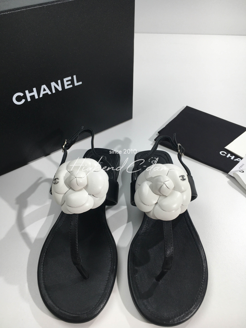 85b2483ee66c98f6be27026e25fc0525_1783047132_8113.jpg
