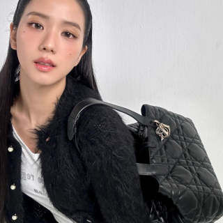 디올 뚜주흐 미디엄 백 (upgrade ver.)