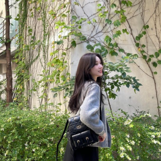디올 카로 백팩 미디움
