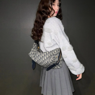 디올 디저니 미디움 백