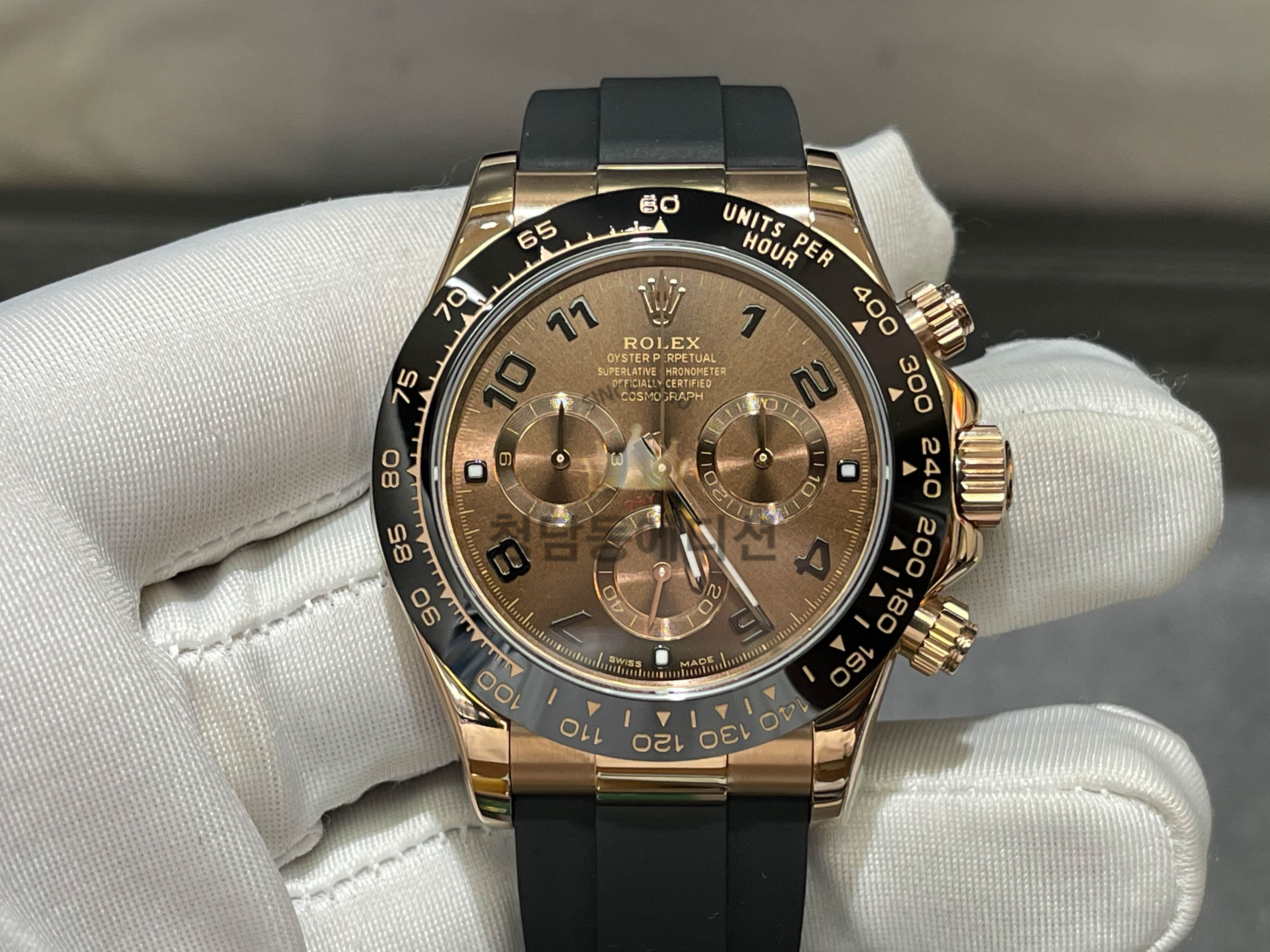 로렉스 데이토나 초코판