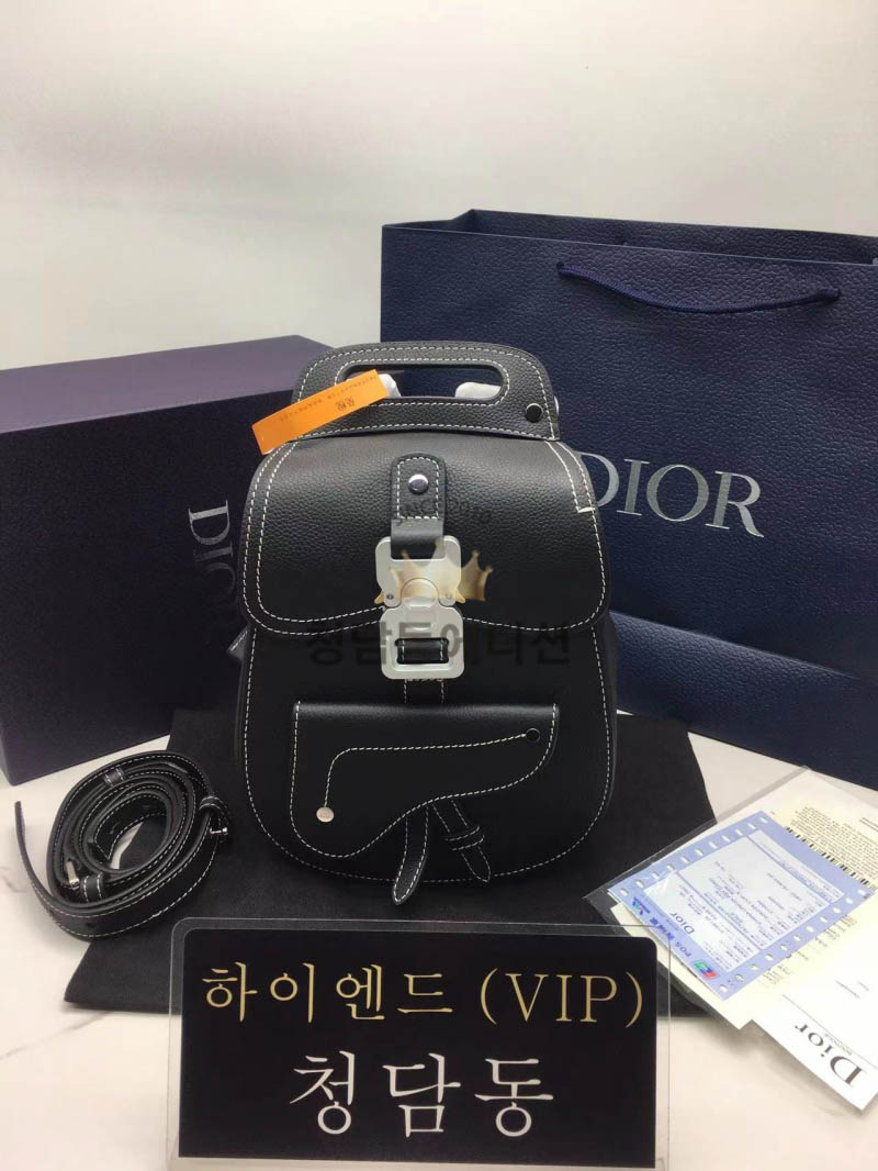 디올 CD 갤롭 백팩