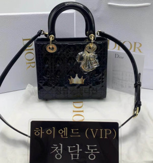 디올 레이디백 미디움 (카프스킨)