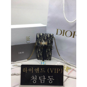 디올 새들 버티컬 파우치