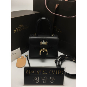 델보 브리앙 미니/PM (컬러 블랙) (금장/은장)