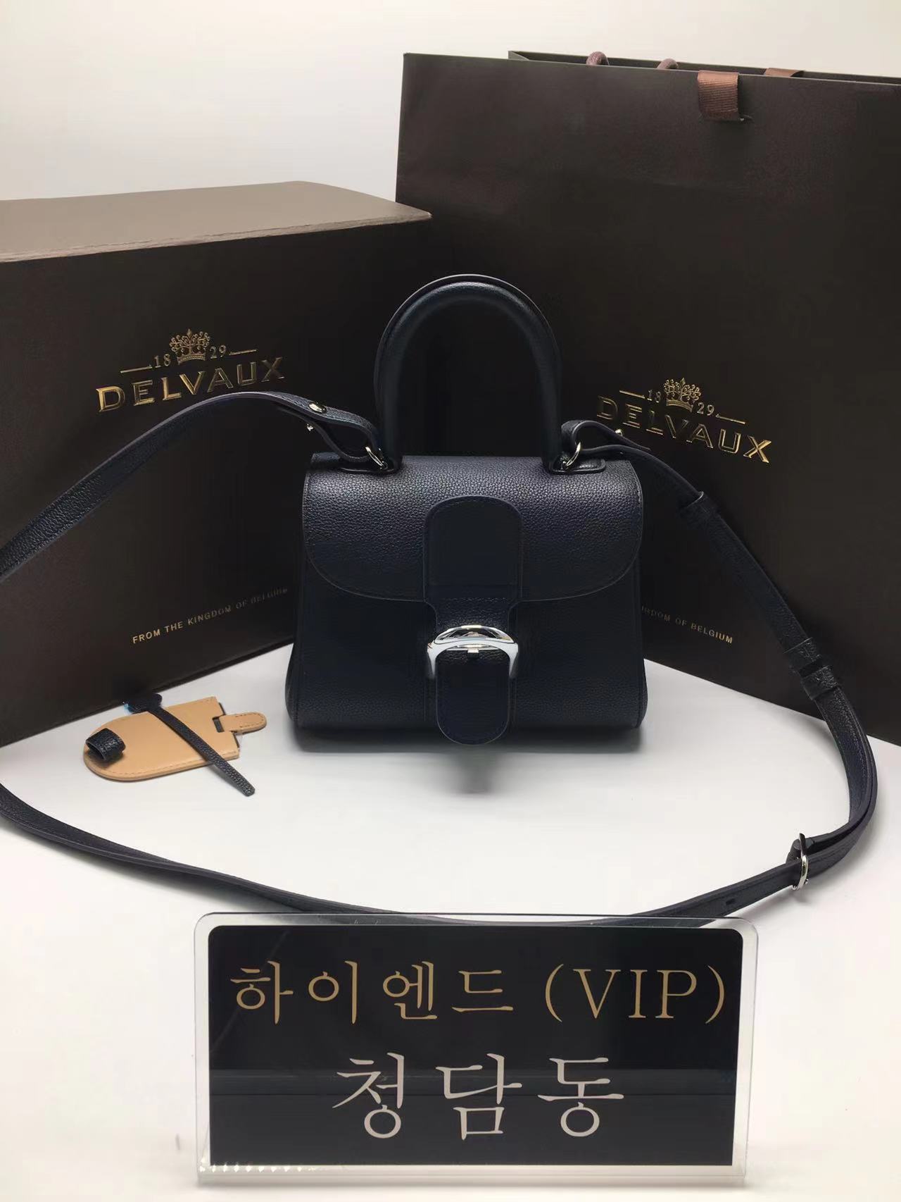 델보 브리앙 미니/PM (금장/은장)