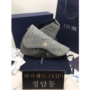 디올 오블리크 새들백 스몰