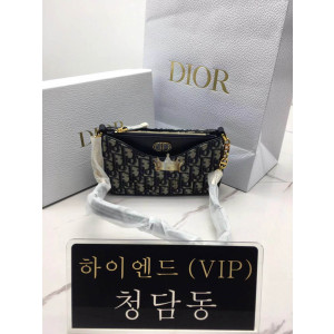 디올 30몽테인 에비뉴 호보백