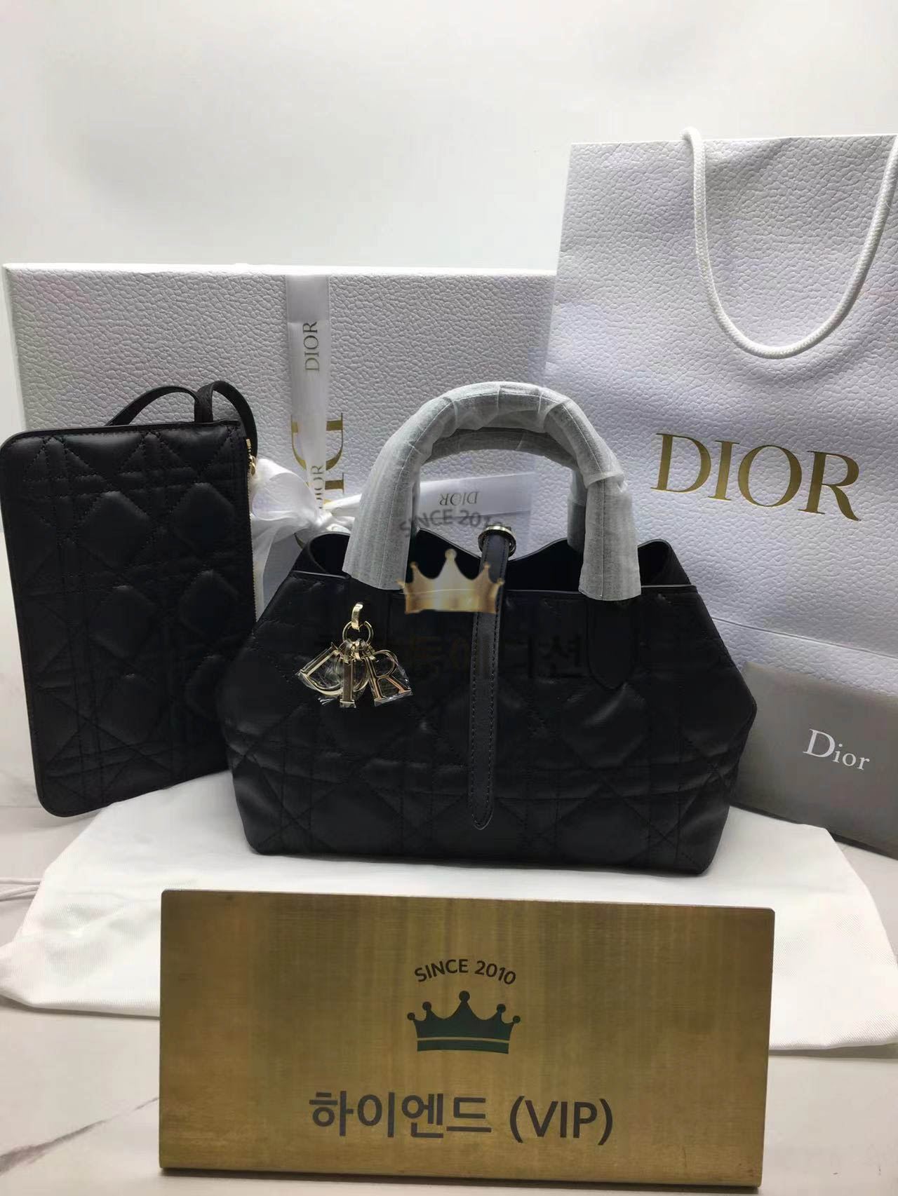 디올 뚜주흐 스몰백