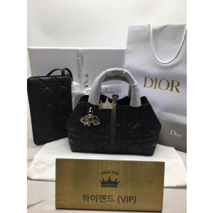 디올 뚜주흐 스몰백