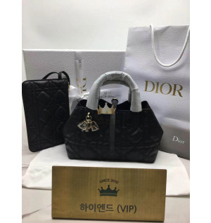 디올 뚜주흐 스몰백