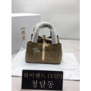 디올 뚜주흐 스몰백