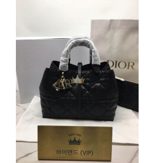 디올 뚜주흐 미디움 백