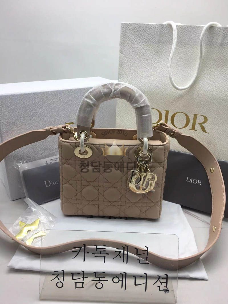 디올 레이디백 스몰