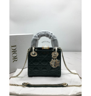 디올 레이디백 17cm 페이던트