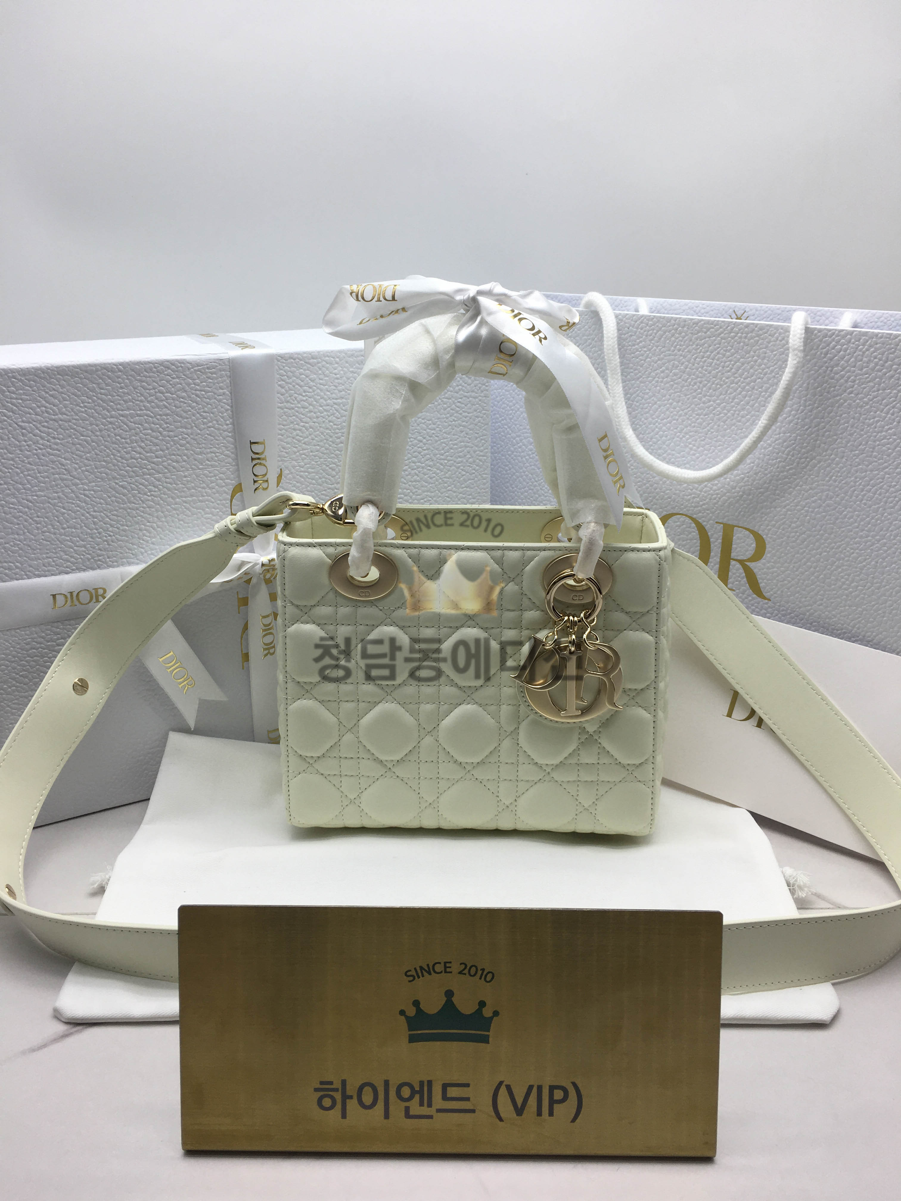 디올 램스킨 레이디백 MY ABC