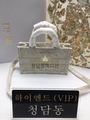 디올 북토트백 미니 숄더스트랩