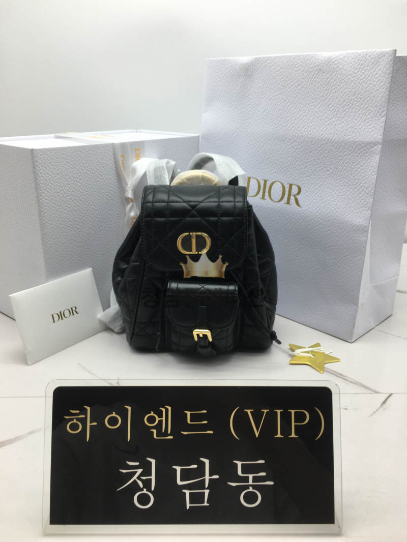 디올 카로 백팩 스몰