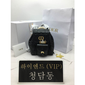 디올 카로 백팩 스몰
