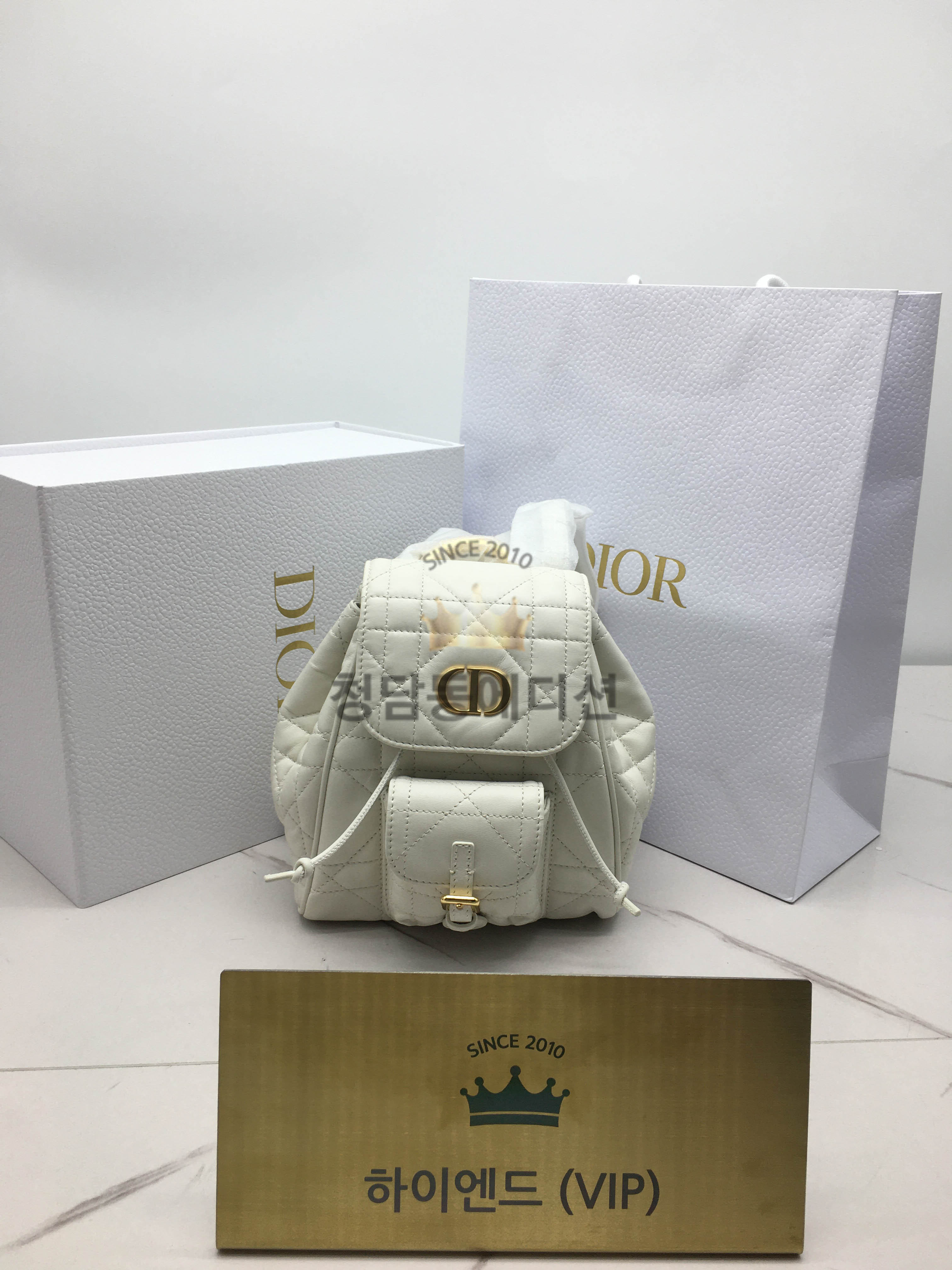 디올 카로 백팩 스몰