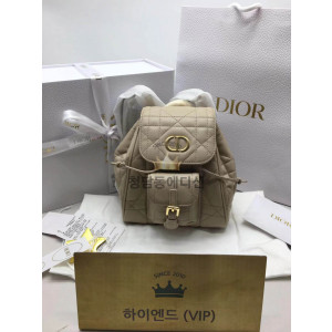 디올 카로 백팩 스몰