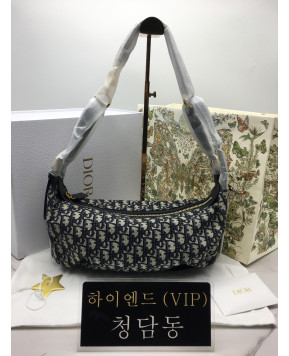 디올 디저니 미디움 백