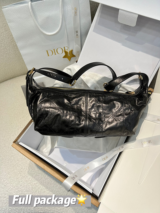 디올 디저니 미디움 백