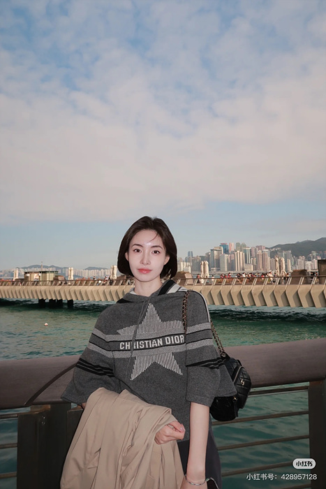 디올 알프스 후드 스웨터