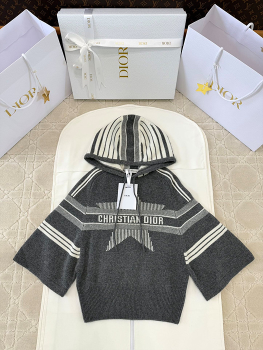 디올 알프스 후드 스웨터