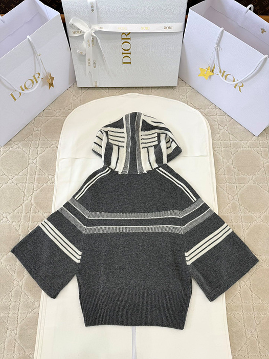 디올 알프스 후드 스웨터