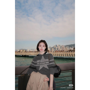 디올 알프스 후드 스웨터