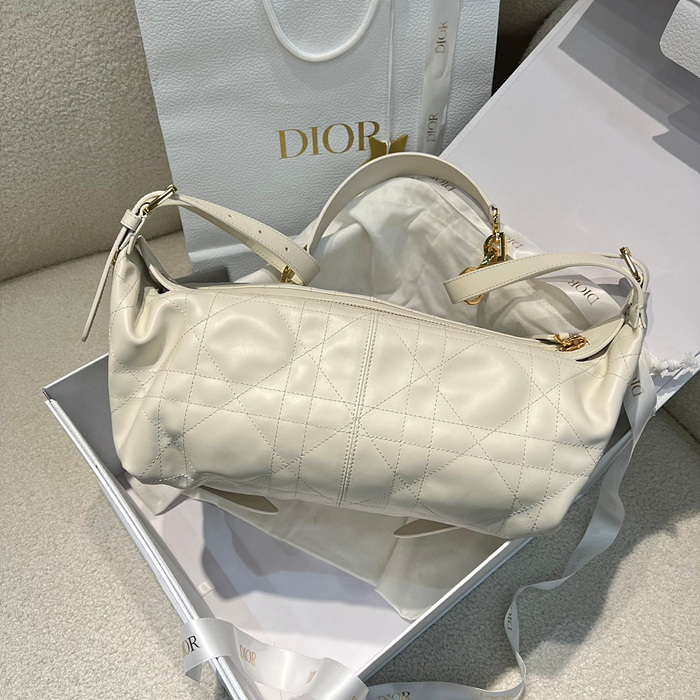 디올 디저니 미디움 백