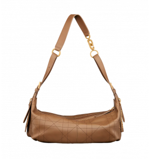 디올 디저니 미디움 백