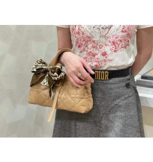 디올 뚜주흐 스몰 백 (upgrade ver.)