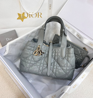 디올 뚜주흐 스몰 백 (upgrade ver.)