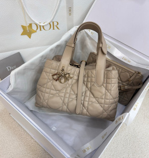 디올 뚜주흐 스몰 백 (upgrade ver.)