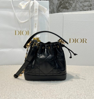 디올 졸리 스몰 버킷백