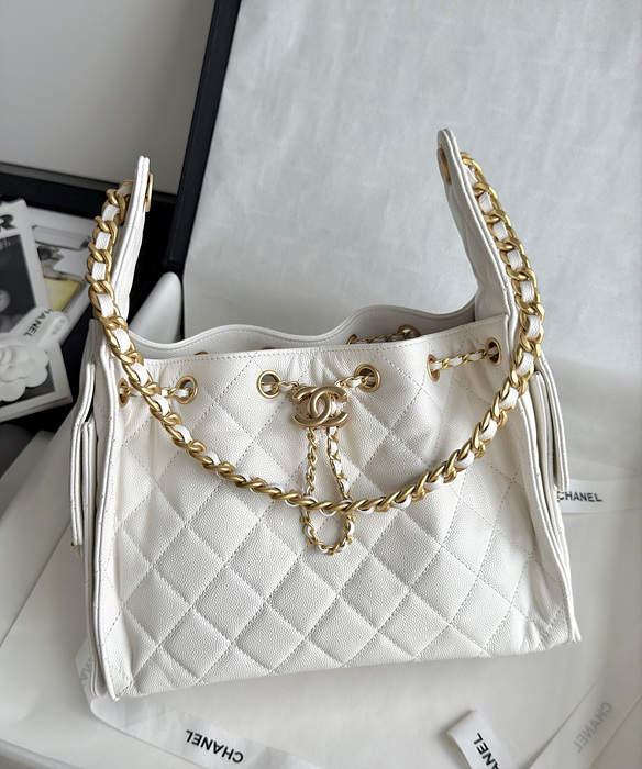 샤넬 25C 크루즈 뉴 호보백 스몰 (25백)