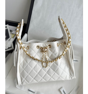 샤넬 25C 크루즈 뉴 호보백 스몰 (25백)