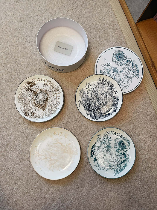 디올 문라이트 디너 플레이트 세트