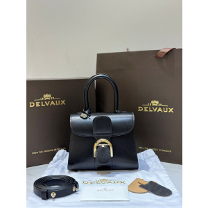 델보 브리앙 미니