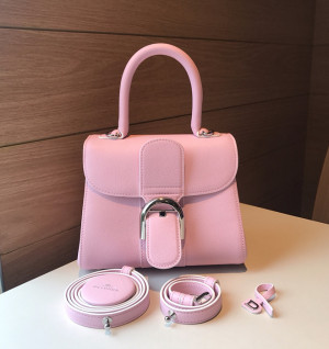 델보 브리앙 미니