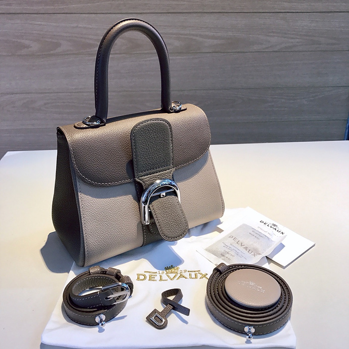 델보 브리앙 미니