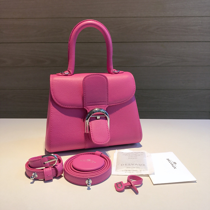 델보 브리앙 미니