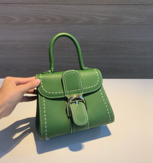 델보 브리앙 미니 쉬르피케 (버클컬러 은장)